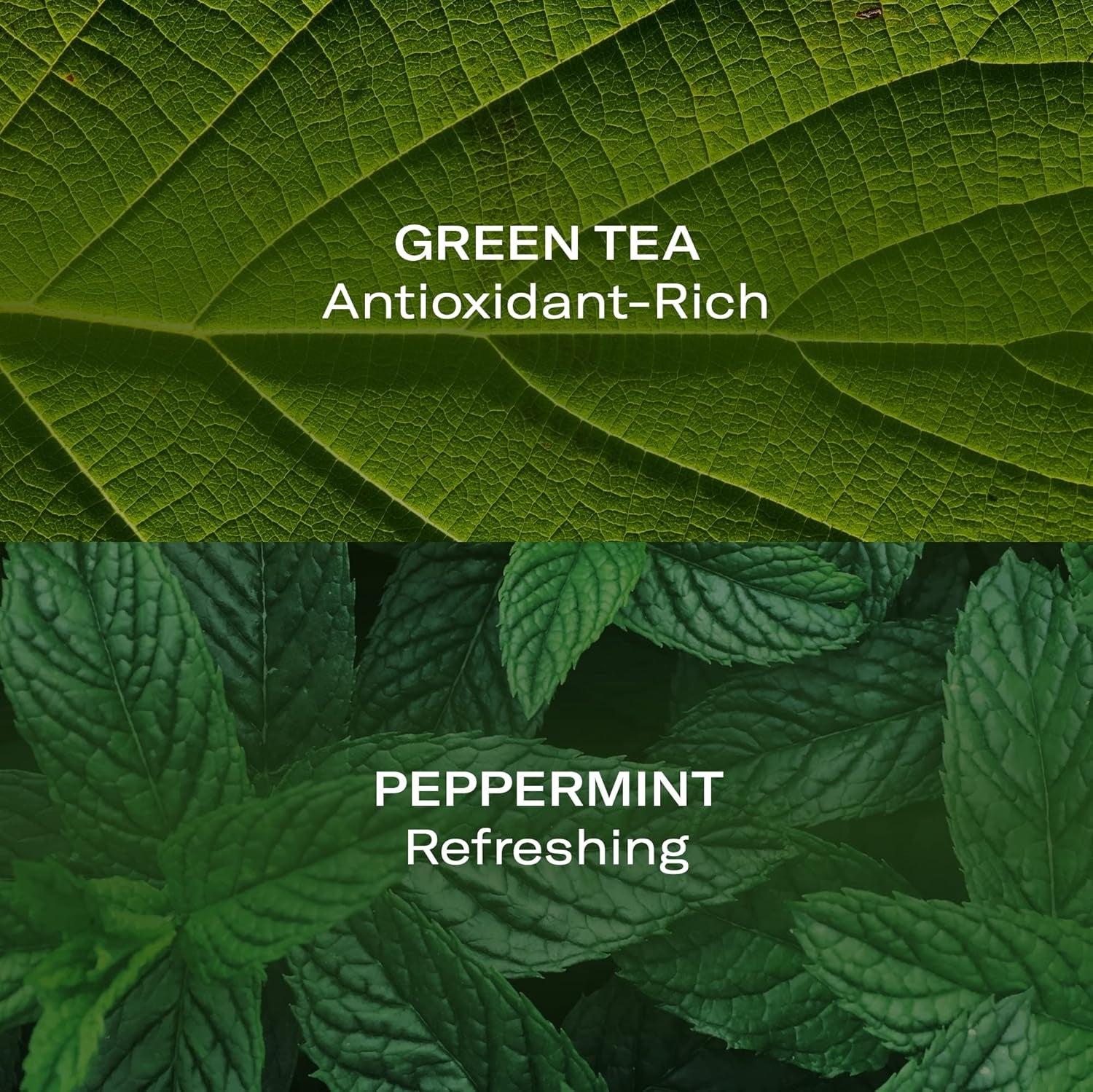 Pure Elements by  Skincare Mint + Green Tea Hydra-Purifying Treatment Mist 50Ml